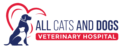 all cats and dogs veterinary hospital